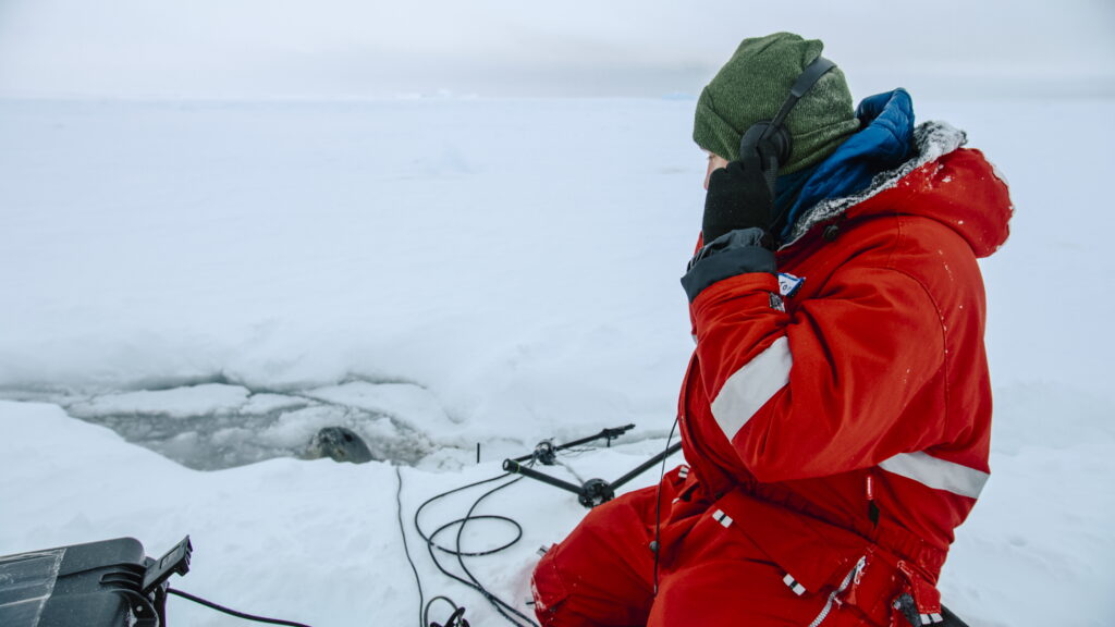 Filming on the sea ice in the Arctic for Earthsounds