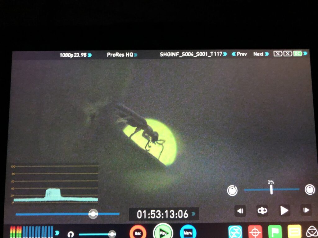 Reviewing night-filmed footage on location for Earth at Night in Color