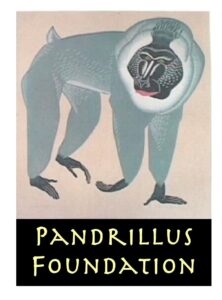 Pandrillus Foundation
