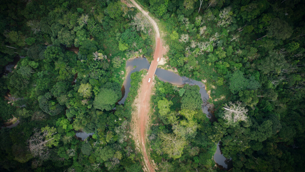 Aerial drone view of a forest river crossing, filmed for The Wild Ones