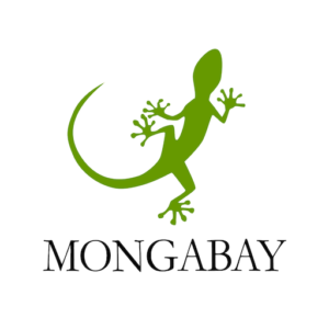 mongabay square logo
